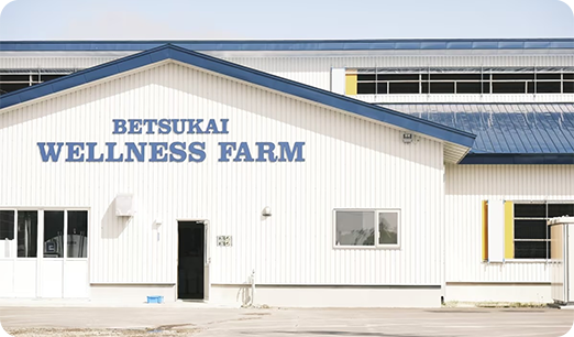 北海道別海町にあるカネカグループ運営牧場「別海ウェルネスファーム」