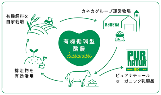 北海道のカネカグループ運営牧場で丁寧につくられた未来に繋がるオーガニック乳製品