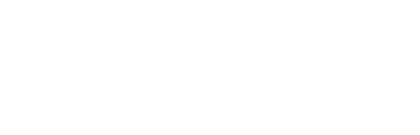 商品の特徴